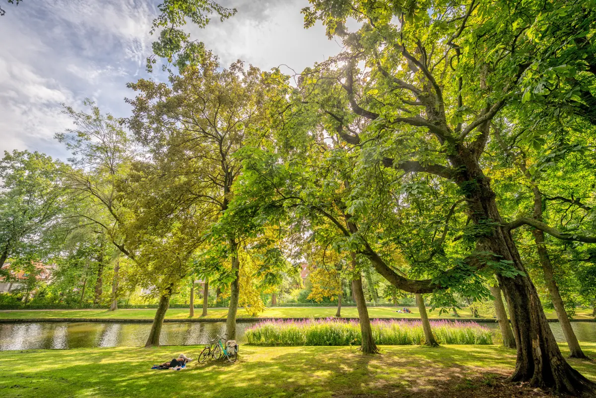 park-like view with grass, trees, and water along the ramparts